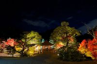 紅葉　白水阿弥陀堂ライトアップ