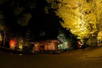 紅葉　白水阿弥陀堂ライトアップ