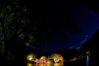 白水阿弥陀堂ライトアップ　紅葉