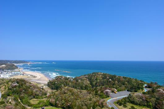 いわきの海の碧さ いわき桜の名所