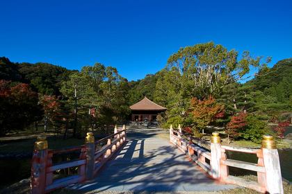 白水阿弥陀堂ライトアップ