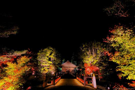 白水阿弥陀堂紅葉ライトアップ2014