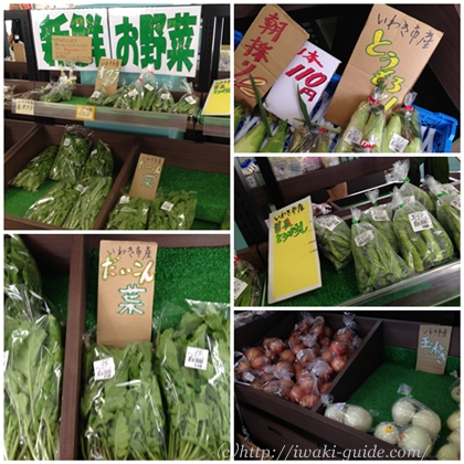 いわき野菜　道の駅よつくら港