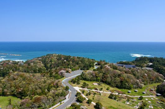 いわきの海 いわき桜の名所