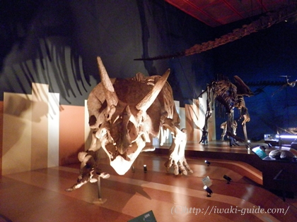 石炭化石館ほるる　ナイトミュージアム