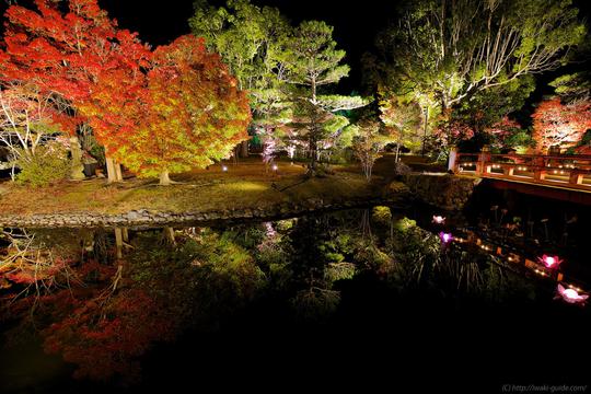 白水阿弥陀堂紅葉ライトアップ2014