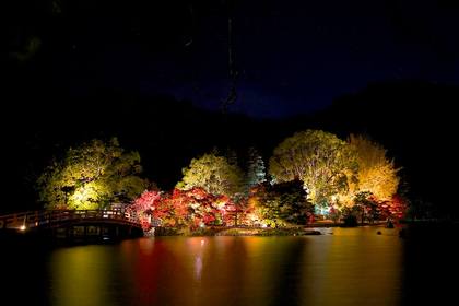 白水阿弥陀堂ライトアップ　紅葉