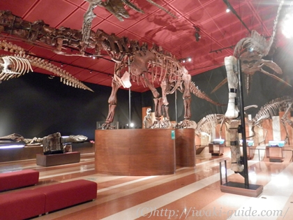 石炭化石館ほるる　ナイトミュージアム