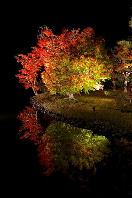 白水阿弥陀堂ライトアップ　紅葉