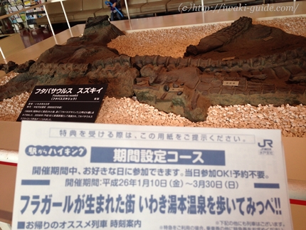 フタバスズキリュウ　いわき