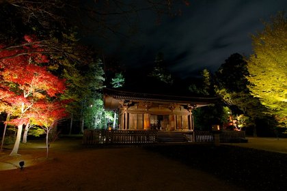 紅葉　白水阿弥陀堂ライトアップ