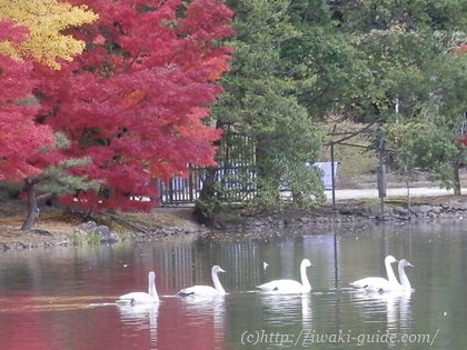 いわき観光　駅からハイキング　白水阿弥陀堂