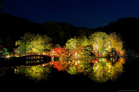 白水阿弥陀堂紅葉ライトアップ2014