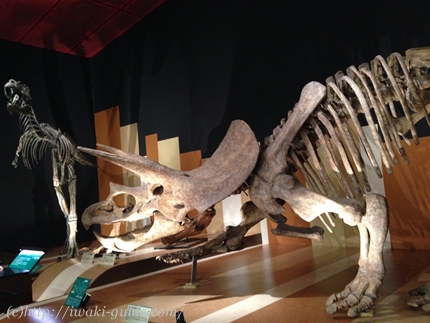 いわき観光　石炭・化石館ほるる