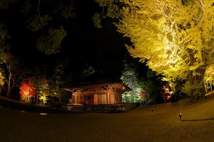 白水阿弥陀堂ライトアップ　紅葉