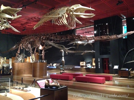 いわき観光・石炭、化石館ほるる