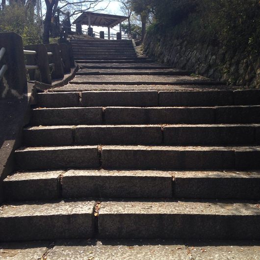 福島県いわき市桜の名所　松が丘公園