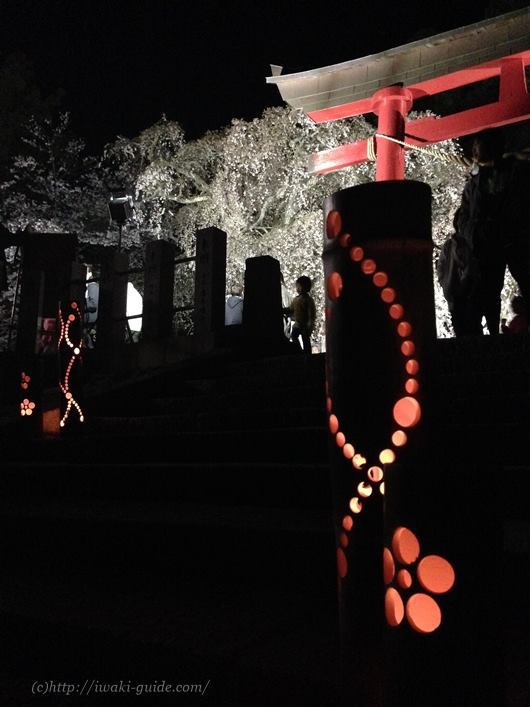 小川諏訪神社　いわき桜ライトアップ