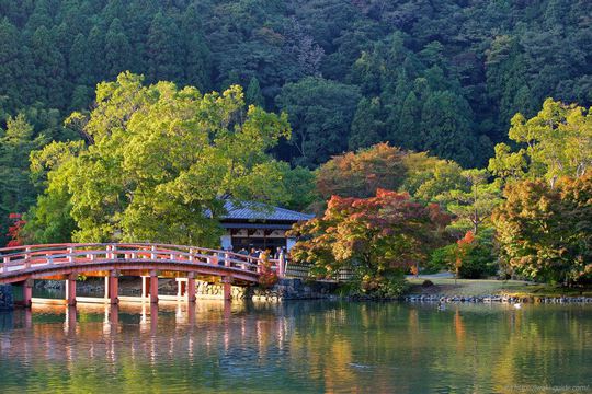 白水阿弥陀堂〜紅葉ライトアップ２週間前