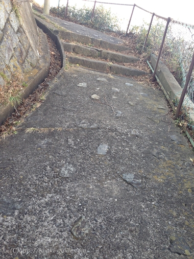 御幸山公園　いわき福島桜の名所