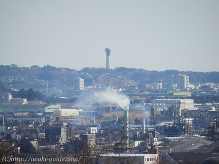 御幸山公園　いわき福島桜の名所