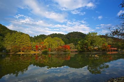 白水阿弥陀堂 紅葉2013