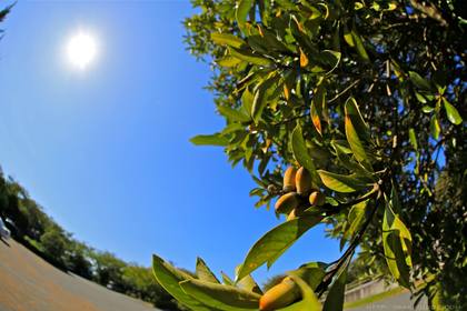 いわき観光　三崎公園　マリンタワー