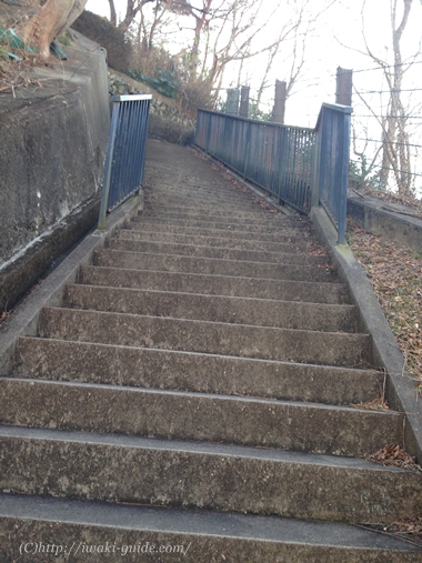 御幸山公園　いわき福島桜の名所