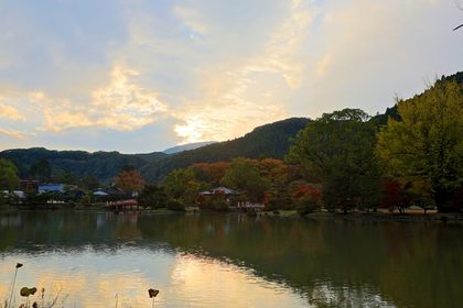 白水阿弥陀堂 紅葉ライトアップ2013