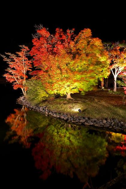 白水阿弥陀堂　紅葉ライトアップ