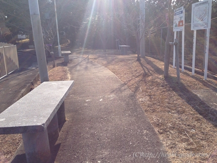 御幸山公園　いわき福島桜の名所