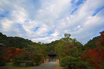 白水阿弥陀堂 紅葉ライトアップ2013