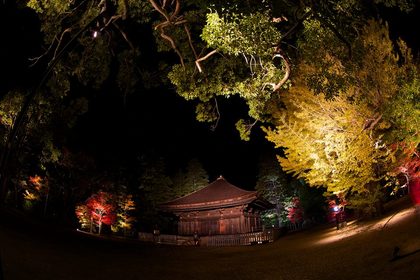 白水阿弥陀堂　紅葉ライトアップ