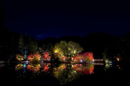 白水阿弥陀堂　紅葉ライトアップ