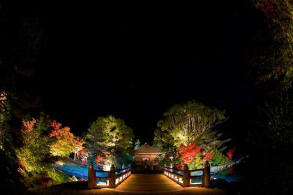 白水阿弥陀堂　紅葉ライトアップ