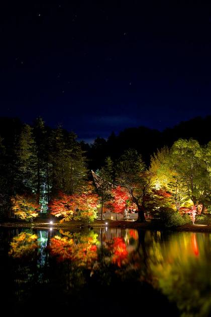 白水阿弥陀堂　紅葉ライトアップ