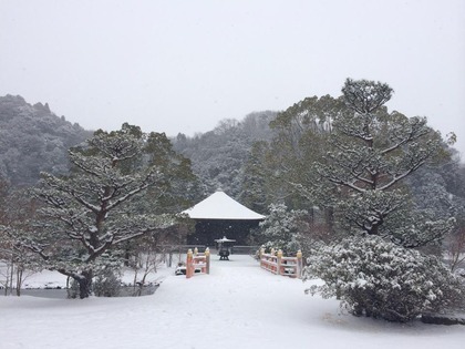 いわき観光おすすめ　白水阿弥陀堂