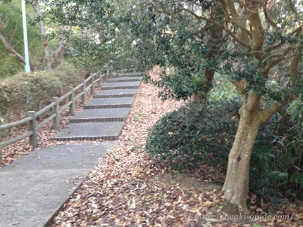 御幸山公園　いわき福島桜の名所