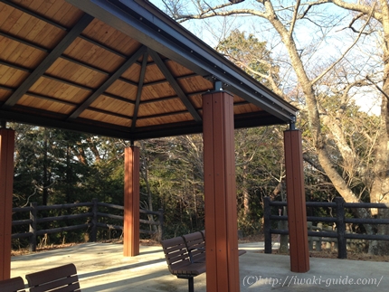 御幸山公園　いわき福島桜の名所
