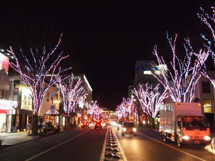 いわきイルミネーション　光のさくらまつり