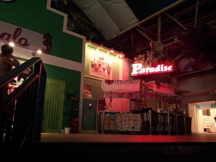 スパリゾート・ハワイアンズ　日帰りの楽しみ方