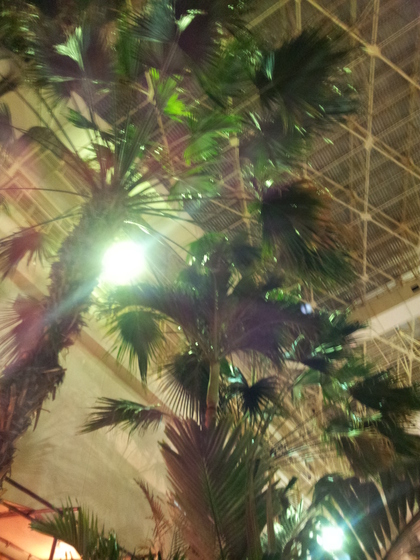 スパリゾート・ハワイアンズ　日帰りの楽しみ方