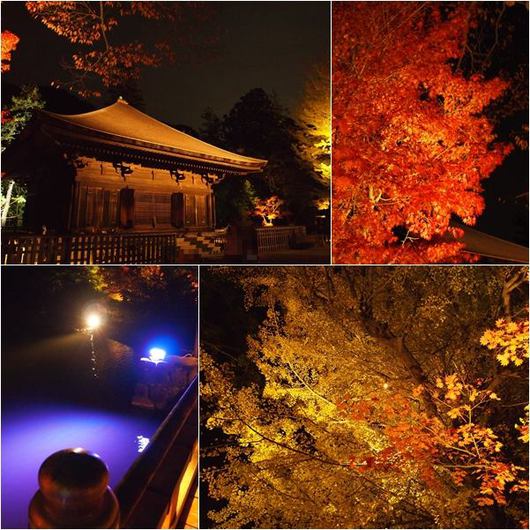 白水阿弥陀堂ライトアップ