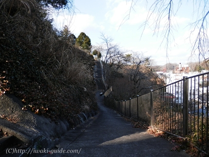 御幸山公園　いわき福島桜の名所