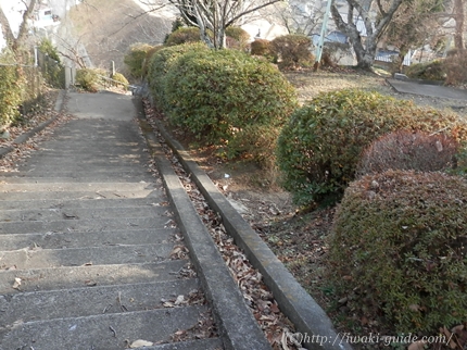 御幸山公園　いわき福島桜の名所