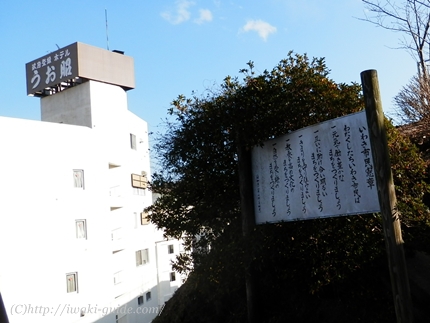 御幸山公園　いわき福島桜の名所