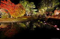 白水阿弥陀堂紅葉ライトアップ2014