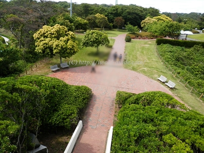 いわき市観光おすすめスポット　三崎公園の三崎汐見台