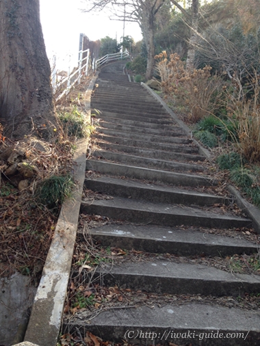 いわき観光　いわき桜の名所　観音山公園