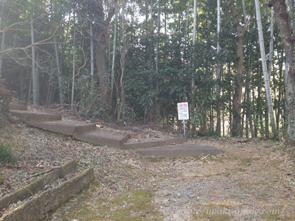 いわき観光　いわき桜の名所　観音山公園